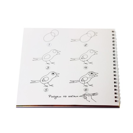 Sketchbook, square 190 x 190 mm, 20 sheets, on the crest, "chameleon", cover coated cardboard, glossy lamination, block 100 g/m²-2