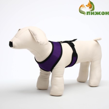 The slide is soft from neoprene, size L, Osh 39 cm, OG 36-46 cm, purple