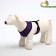 The slide is soft from neoprene, size L, Osh 39 cm, OG 36-46 cm, purple
