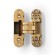 Loop of Lockland hidden installation, 30x110 mm, with 3D regulation, color matte gold