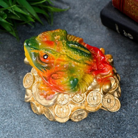 Piggy bank "Toad on money" 11x9x9cm-1
