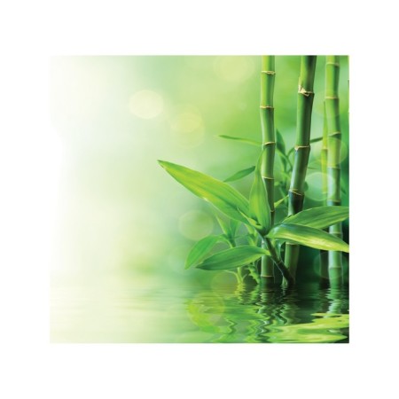 Organizer in a bath on suction “Reflection of nature”, for storing toys and little things, size 33 × 39 cm-1