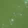 Garland “thread” 20 m dew, ip44 silver thread, 200 led, white glow, 2 modes, solar battery