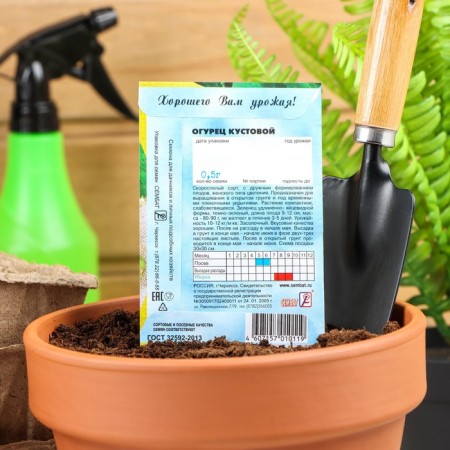 Cucumber seeds "Kustova", 0.5 g-1