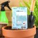 Cucumber seeds "Kustova", 0.5 g