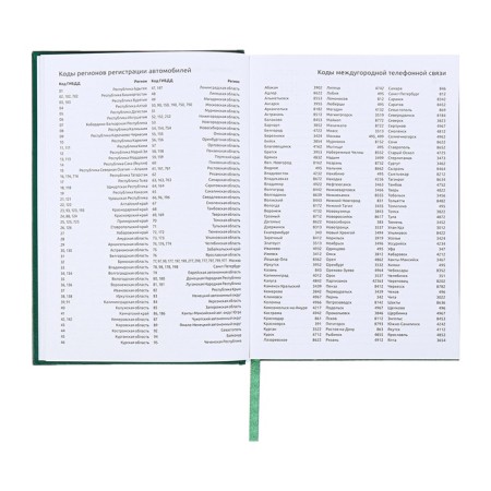 Dated diary 2024, A5, 176 sheets, Attomex.orion, Bumvinyl cover, Lasse, Blok 70 g/m2, Green-9