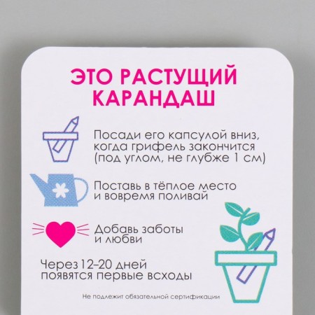 Growing gift pencils mini bloom "Silver acacia"-2
