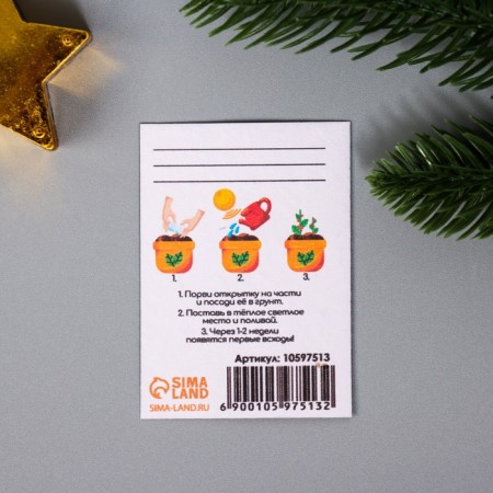 A set of postcards with seeds "grow itself" "smiles" 5*7cm 3 pcs-4