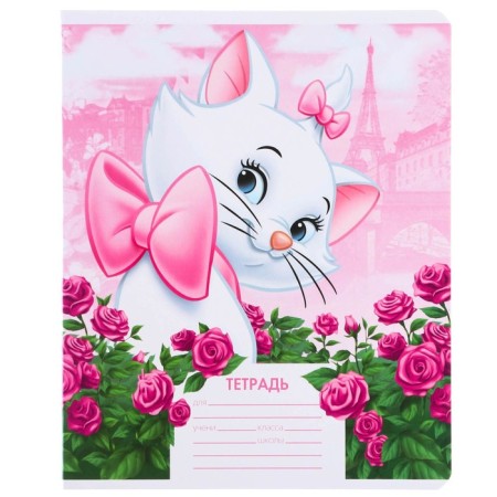 Notebook in a ruler of 12 sheets, 5 types of mix, cover coated cardboard, cats aristocrats-11