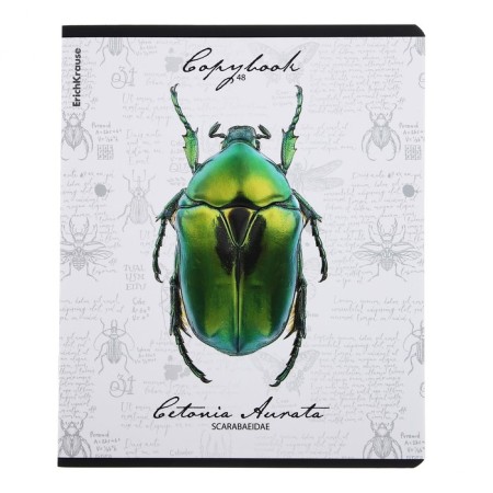 Notebook of 48 sheets in the Erichkrause "Beetles", matte lamination, an offset block 100%, mix-2