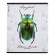 Notebook of 48 sheets in the Erichkrause "Beetles", matte lamination, an offset block 100%, mix
