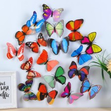 Magnet Plastic 