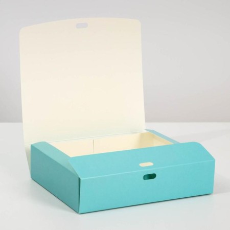 Gift folding box, packaging, Tiffany, 31 x 24.5 x 8 cm-1