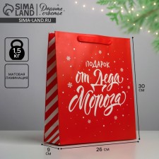 Package Laminated Vertical “Gift from Santa Claus”, M 26 x 30 x 9 cm, New Year