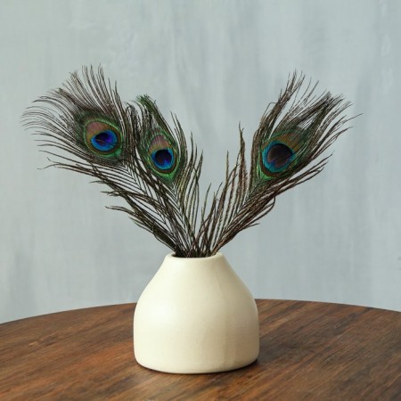 Feather of peacock for decor, set of 3 pcs., Size 1 pc. - from 25 to 30 cm-3