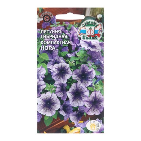Flowers of Petunia "Nora",