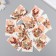 Cardboard "Autumn Deer" set 10 pcs (5 types) 4x6 cm