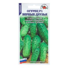 Cucumber seeds 