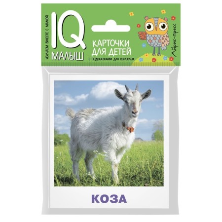 Pets. Kovyushina N.P.