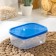Container shade 500 ml, blue color
