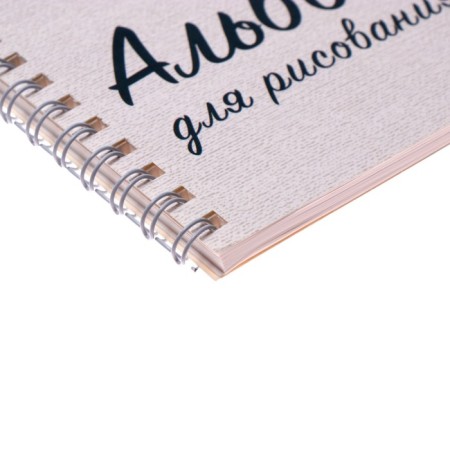 Album for drawing A5, 40 sheets on the crest "Dolphin", cover Cardon Cover, Block 100 g/m²-2