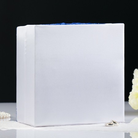 Family Bank money box with blue lace-1