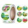 Stick Paper "Dinosaurs in the jungle" d = 2.5 cm 500 pcs in a roll 3x6.5x6.5 cm