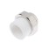 Combined clutch OTMO, detachable (American), D = 25 mm x 1/2 ", internal thread, steel