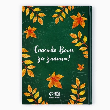 Diary A5, 80 liters, a solid cover "The most beloved teacher"-3