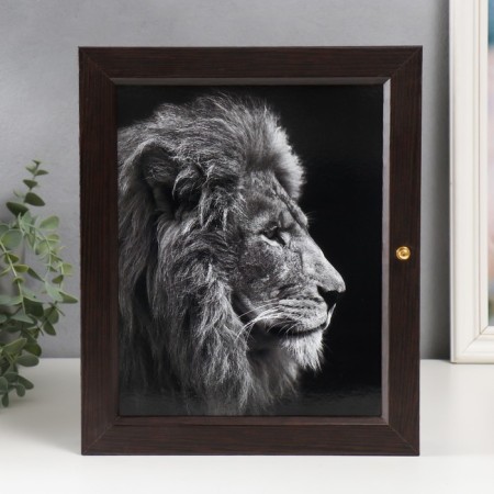 Klyucker "Leo" 24x29 cm Wenge