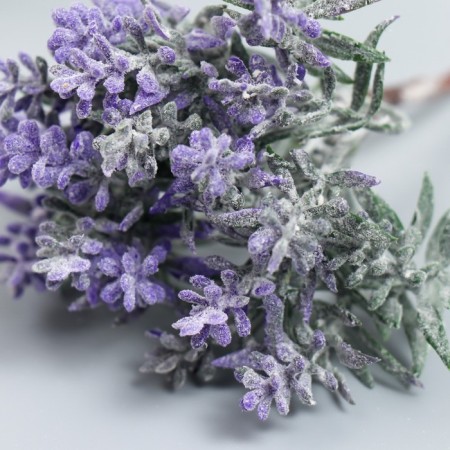 Artificial plant for creativity "Kotovnik" 1 bouquet = 6 branches lilac 13 cm-2