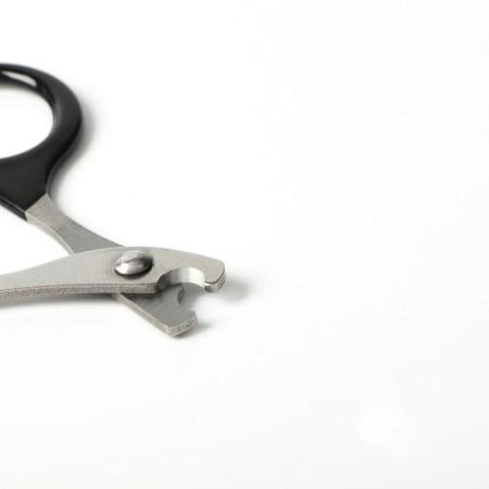 Coger scissors with rubberized handles, a hole of 6 mm, black-2