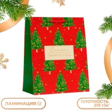Gift Package 