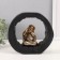Polystone souvenir "Little Hothee with dimples, in an arch of wood cut" 6x21x19 cm