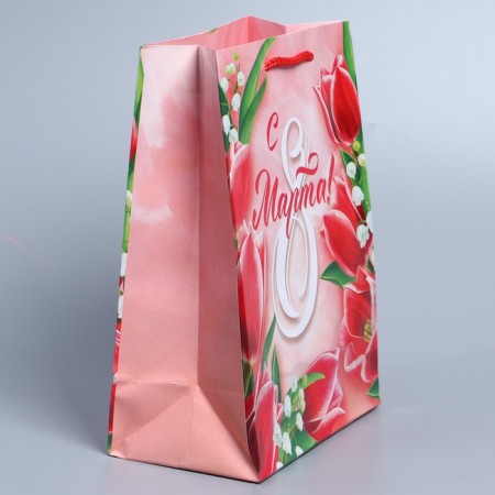 Package Gift Laminated Horizontal, Packaging, Spring Paints, MS 18 x 23 x 8 cm-2