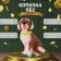 Piggy bank "Dog Tuzik" brown, 21.5 cm