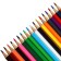 Pencils 18 colors of multi-bullets, "raccoon in India", colored