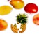 Maxi Puzzles "Fruit"