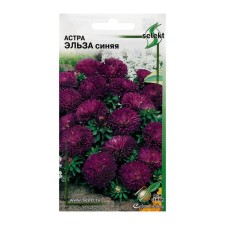Flowers of Astra 