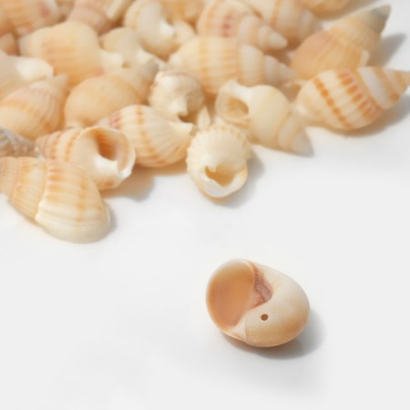 Beads "shell" is small curl, beige color (set 48 g +/- 5)-1