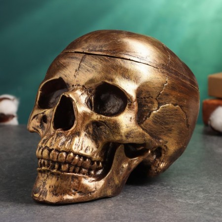 Bronze Skull Casket for Skull, 16x15x22cm-2