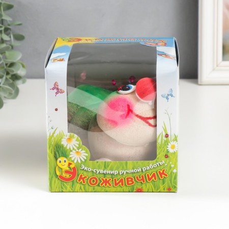 Growing gift Eco -Zenitika "Caterpillar 2" MIX Gift packaging-5
