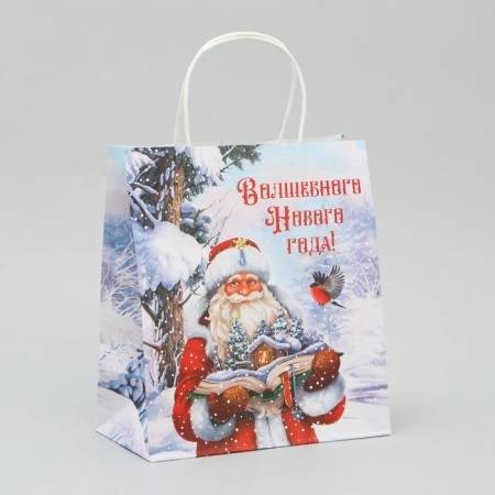 Craft Magic New Year package, 22 x 25 x 12 cm, New Year-1