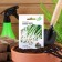 Seeds on the greens "white feather", 0.5 g Series Hit X3