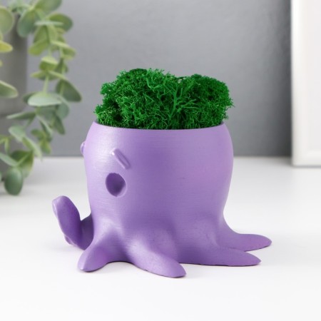 Concrete Kashpo "Osminog" height 7 cm, d- 6.5 cm. Violet with moss (moss green. Stabilizir)-2