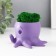 Concrete Kashpo "Osminog" height 7 cm, d- 6.5 cm. Violet with moss (moss green. Stabilizir)