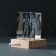 Souvenir Glass backlight "Rectangle. Sharpish person" Standing tree, USB 7x7x10