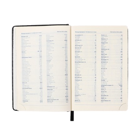 Diary of 2025 A5, 168 sheets in a ruler, leatherette "Nebraska", silver cut, black-7