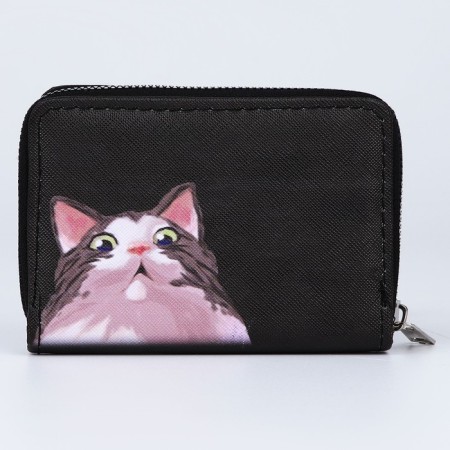 Youth wallet "Where is the money" 12x9.5x2cm-5