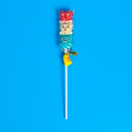 Caramel on the stick "Lolly Kotik", 15 g-1